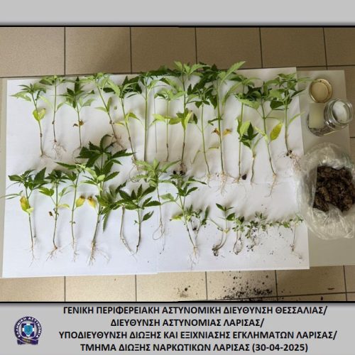 ΕΠΙΚΟ-ΞΕΣΚΕΠΑΣΜΑ! Δύο άνδρες καλλιεργούσαν κάνναβη στο σπίτι τους