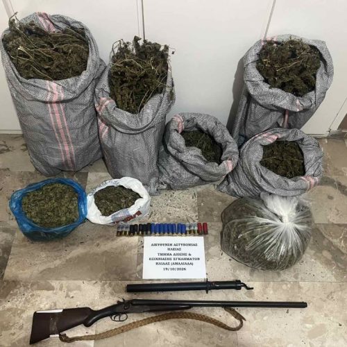 Ηλεία: Σύλληψη ατόμου για καλλιέργεια και διακίνηση ναρκωτικών – Κατασχέθηκαν πάνω από 9 κιλά κάνναβης και 100 δενδρύλλια