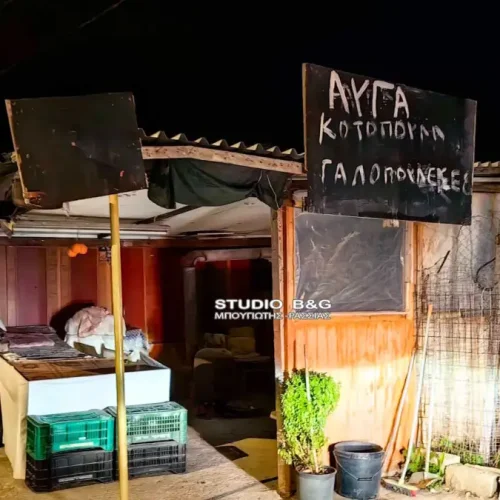 Ναύπλιο: Με μια μαχαιριά στο στήθος σκότωσε τον ληστή η 72χρονη