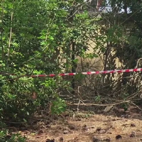 «Ωρολογιακή βόμβα» στο Άλσος Χωροφυλακής – Θαμμένα ζώα λίγα μέτρα από παιδιά