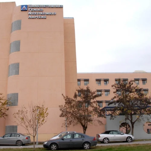 Σοβαρός τραυματισμός 13χρονου στο Πήλιο