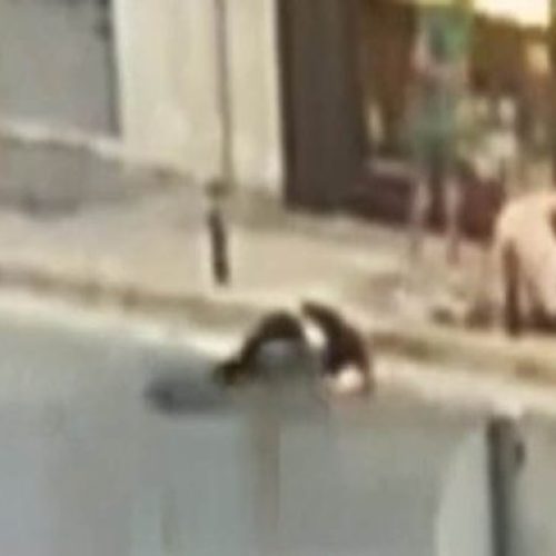 Άγρια επίθεση σε κοσμηματοπώλη στην Παλλήνη για διαφορά μόλις τριών ευρώ (ΒΙΝΤΕΟ)