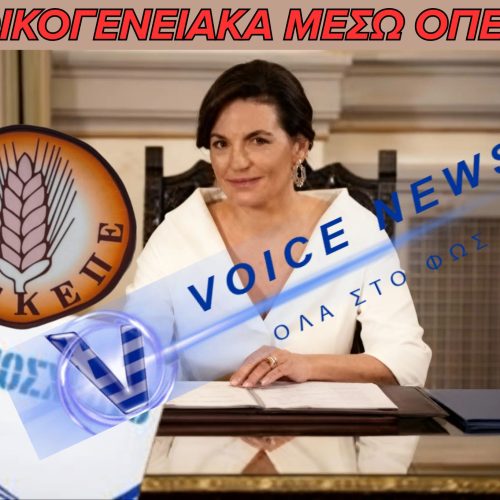 ΟΛΓΑ ΚΕΦΑΛΟΓΙΑΝΝΗ- ΛΥΝΕΙ ΤΑ ΟΙΚΟΓΕΝΕΙΑΚΑ ΤΗΣ ΘΕΜΑΤΑ ΜΕΣΑ ΑΠΟ ΤΟ ΝΟΜΟΣΧΕΔΙΟ ΤΟΥ ΟΠΕΚΕΠΕ