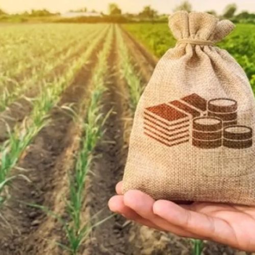 «ΠΡΟΣΤΙΜΟ – ΜΑΜΟΥΘ» 392 εκατ. ευρώ στην Ελλάδα για τις «μαϊμού» επιδοτήσεις του ΟΠΕΚΕΠΕ