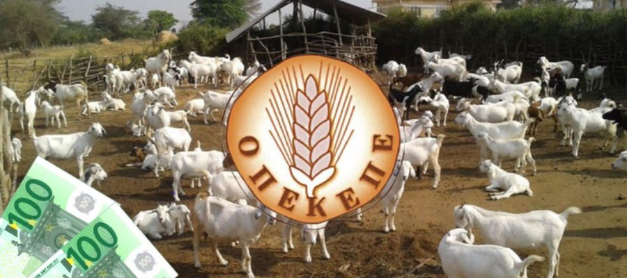 Σκάνδαλο ΟΠΕΚΕΠΕ: Ποινές χάδι με αναστολή σε Κρητικούς που δήλωναν βοσκοτόπια στη… Φλώρινα