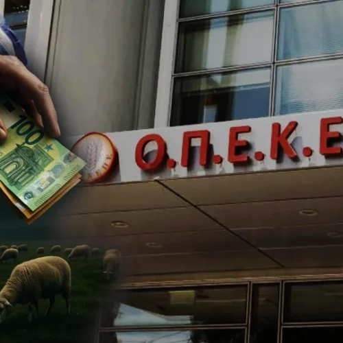 ΟΠΕΚΕΠΕ: Τι υποστήριξαν πεθερά και μητέρα του φερόμενου αρχηγού που πήραν 60.000 ευρώ