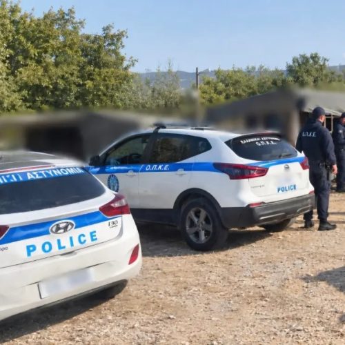 Φθιώτιδα: Αστυνομική επιχείρηση σε οικισμούς – Συλλήψεις για κλοπές ρεύματος και νερού