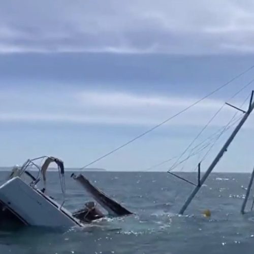 Επίθεση – σοκ από φάλαινες «όρκες» στην Πορτογαλία – «ΤΙ ΣΥΝΕΒΗ»