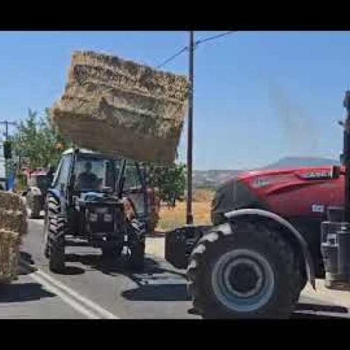 Εμβόλια δεν ήρθαν, αποζημιώσεις δεν δόθηκαν – Οι κτηνοτρόφοι απαντούν με μπλόκα (ΦΩΤΟ)