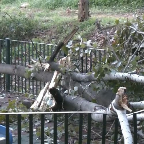 Χαϊδάρι: Παιδική χαρά εκτός λειτουργίας μετά από πτώση δέντρου!
