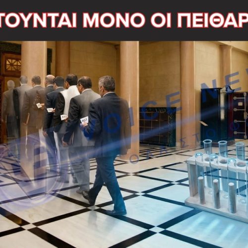 Το κείμενο της παραγράφου σας - 1