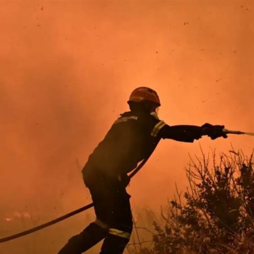 Πετρωτό Φθιώτιδας: Η φωτιά υπό έλεγχο – Μάχη με τις φλόγες από ισχυρές δυνάμεις