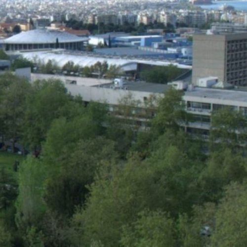 Επιστήμονες του ΑΠΘ χαρτογραφούν την υγεία των ελληνικών δασών