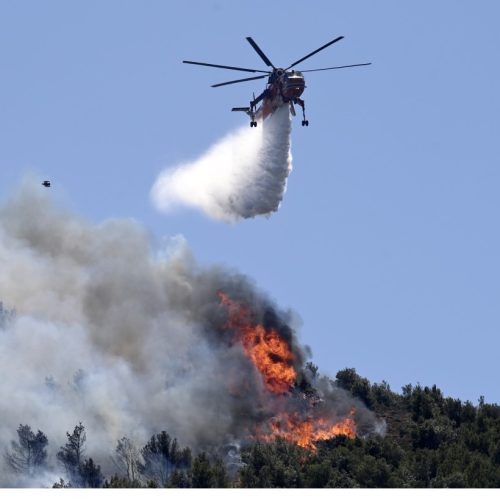 ΦΩΤΙΑ σε δασική έκταση στην Καβάλα