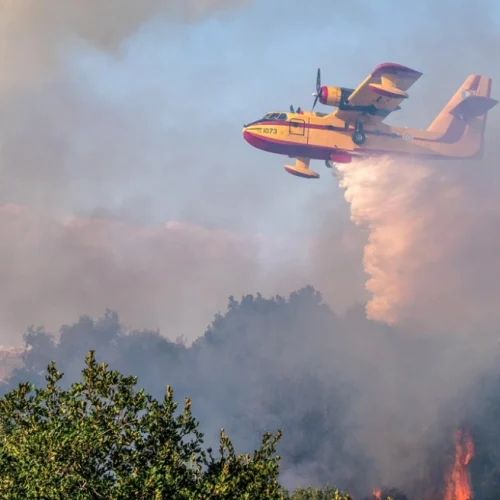 Πυροσβεστική: 47 αγροτοδασικές πυρκαγιές σε ένα 24ωρο