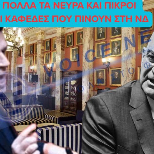 Από την Ολομέλεια στο καφενείο: Πώς η επίμαχη φράση προς την Κωνσταντοπούλου άναψε φωτιές μεταξύ Δένδια και Καιρίδη