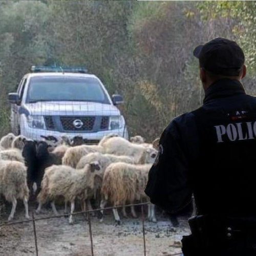 Επίθεση σε ελεγκτές του ΟΠΕΚΕΠΕ στην Κρήτη — Κτηνοτρόφος τους εξύβρισε και τους απείλησε