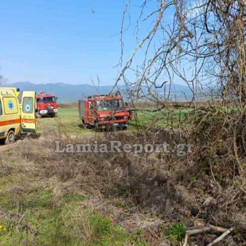 Τραγωδία στον Σπερχειό: 60χρονος πήγε να κόψει «άρρωστο» πλάτανο και σκοτώθηκε από τεράστιο κλωνάρι