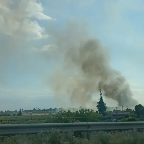 16 φωτιές ξέσπασαν σχεδόν ταυτόχρονα στην Κεντρική Μακεδονία: ΑΠΟΚΛΕΙΣΤΙΚΕΣ ΦΩΤΟ+ΒΙΝΤΕΟ από τη μεγάλη πυρκαγιά στη Νέα Καλλικράτεια Χαλκιδικής
