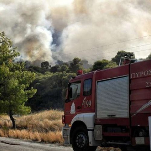 Φωτιά σε αγροτοδασική έκταση κοντά στη Βόλβη – Επί ποδός η Πυροσβεστική