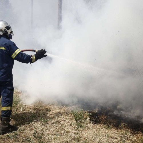 Φωτιά στη Σάμο – Μεγάλη κινητοποίηση της Πυροσβεστικής