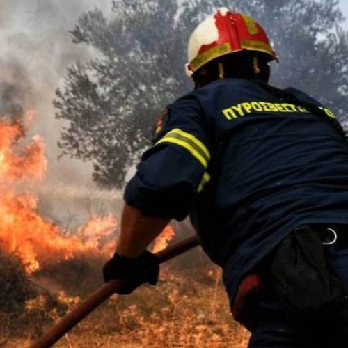 «ΦΩΤΙΑ» στη Μαγούλα κοντά στην Αττική Οδό!