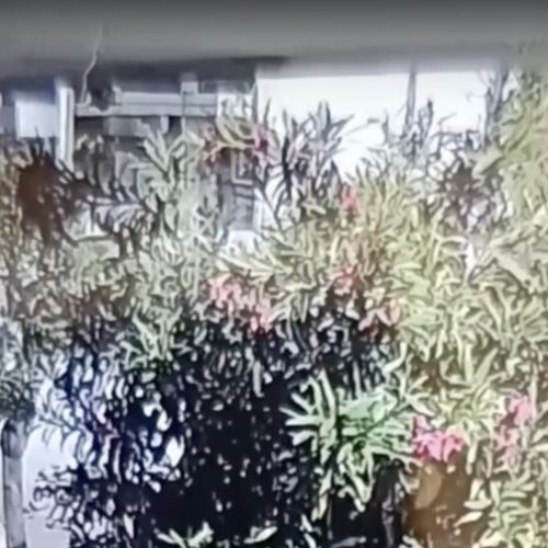 Η «ΣΥΓΚΛΟΝΙΣΤΙΚΗ» στιγμή της μαφιόζικης ενέδρας – Άνοιξαν πυρ σε πολυτελές όχημα