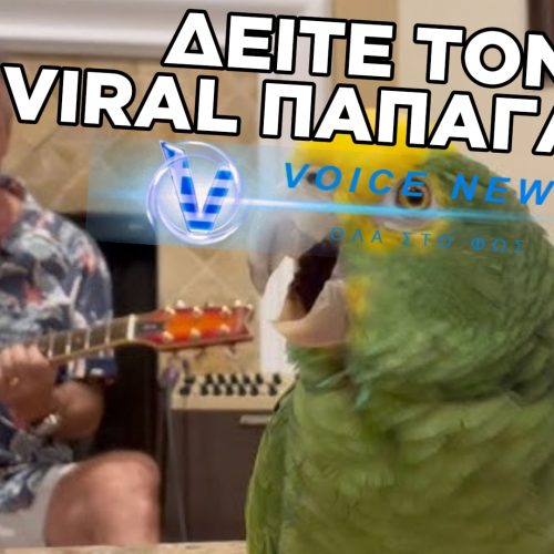 {"data":{"source_platform":"mobile_2","pictureId":"f6980830c7874b07a9332a1b31b55ad2","appversion":"8.4.0","stickerId":"","filterId":"","infoStickerId":"1770916625460.png","imageEffectId":"","playId":"","activityName":"","os":"android","product":"retouch","originAppId":"7356","exportType":"","editType":"","alias":"","enterFrom":"enter_launch","capability_key":["sticker","text","edit"],"capability_extra_v2":{"sticker":[{"panel":"sticker"},{"effect_id":"1770916625460.png","panel":"sticker"}],"text":[{"effect_id":"190615955","panel":"text"},{"effect_id":"190390233","panel":"text"}],"edit":[{"panel":"composition"}]},"effect_type":"tool","effect_id":"sticker"},"source_type":"hypic","tiktok_developers_3p_anchor_params":"{\"client_key\":\"awgvo7gzpeas2ho6\",\"template_id\":\"\",\"filter_id\":[],\"capability_key\":[\"sticker\",\"text\",\"edit\"],\"capability_extra_v2\":{\"sticker\":[{\"panel\":\"sticker\"},{\"effect_id\":\"1770916625460.png\",\"panel\":\"sticker\"}],\"text\":[{\"effect_id\":\"190615955\",\"panel\":\"text\"},{\"effect_id\":\"190390233\",\"panel\":\"text\"}],\"edit\":[{\"panel\":\"composition\"}]}}"}