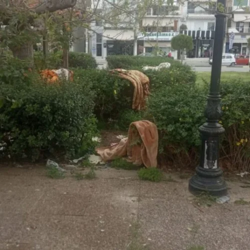 Σαλαμίνα: Δημοτικό πάρκο κατάντησε παράτυπη “δομή” παράνομων μεταναστών