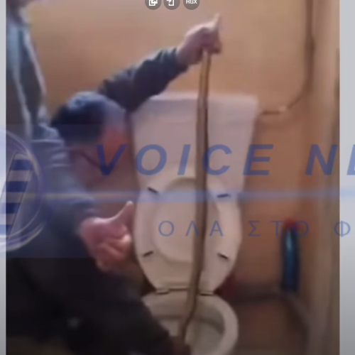Ο ΧΕΙΡΟΤΕΡΟΣ ΕΦΙΑΛΤΗΣ! ΦΙΔΙ ΜΕΣΑ ΣΕ ΛΕΚΑΝΗ ΣΤΗΝ ΚΑΣΤΟΡΙΑ! ΤΟ ΑΠΕΓΚΛΩΒΙΣΑΝ ΚΑΙ ΤΟ ΑΠΕΛΕΥΘΕΡΩΣΑΝ!