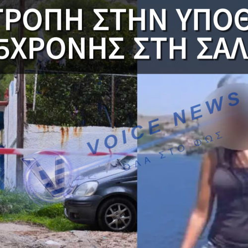 Σαλαμίνα: Ραγδαίες εξελίξεις στην υπόθεση της 75χρονης!