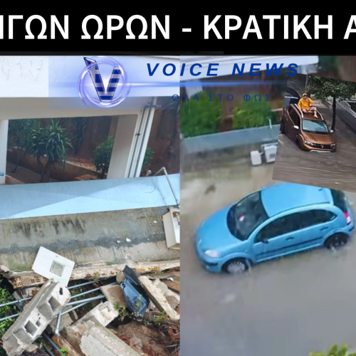 (ΒΙΝΤΕΟ) ΧΑΟΣ ΣΤΟΝ ΑΛΙΜΟ: ΟΔΗΓΟΣ ΑΝΕΒΗΚΕ ΣΤΟ ΑΥΤΟΚΙΝΗΤΟ ΓΙΑ ΝΑ ΣΩΘΕΙ – ΑΝΥΠΑΡΚΤΟ ΚΡΑΤΟΣ!