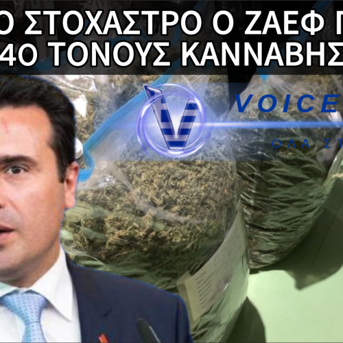 ΚΑΤΑΓΓΕΛΙΕΣ ΔΕΙΧΝΟΥΝ ΤΟΝ ΖΑΕΦ ΓΙΑ ΤΗΝ ΜΕΓΑΛΥΤΕΡΗ ΚΑΤΑΣΧΕΣΗ ΣΕ ΠΟΣΟΤΗΤΑ ΚΑΝΝΑΒΗΣ ΣΤΗΝ ΙΣΤΟΡΙΑ ΤΩΝ ΣΚΟΠΙΩΝ