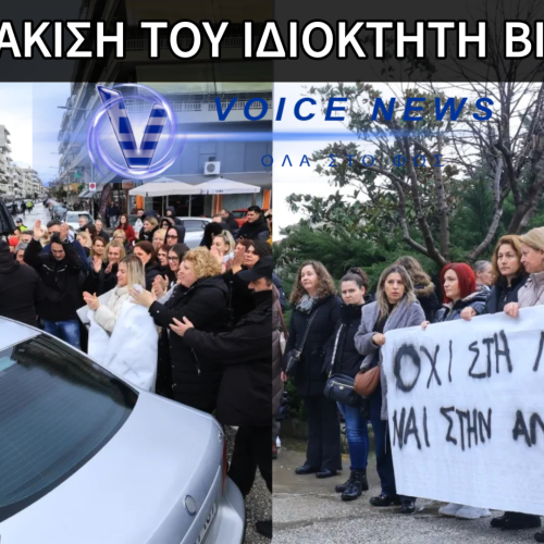 ΠΡΟΦΥΛΑΚΙΣΗ ΙΔΙΟΚΤΗΤΗ ΒΙΟΛΑΝΤΑ – ΣΤΗΡΙΞΗ ΑΠΟ ΜΕΡΙΚΟΥΣ ΕΡΓΑΖΟΜΕΝΟΥΣ