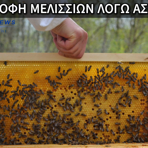ΣΕΙΡΑ ΠΗΡΕ ΤΟ ΜΕΛΙ! ΚΑΙΝΕ ΜΕΛΙΣΣΙΑ ΓΙΑΤΙ ΛΕΝΕ ΕΧΟΥΝ ΠΡΟΣΒΛΗΘΕΊ ΑΠΟ ΜΙΑ ΣΟΒΑΡΗ ΑΣΘΕΝΕΙΑ( ΒΙΝΤΕΟ )