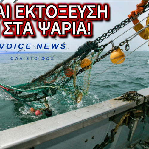 ΨΑΡΙ ΜΕ ΤΟ ΚΥΑΛΙ ΘΑ ΔΟΥΜΕ! ΣΤΑΜΑΤΗΣΑΝ ΟΙ ΤΡΑΤΕΣ ΔΥΟ ΜΗΝΕΣ ΝΩΡΙΤΕΡΑ