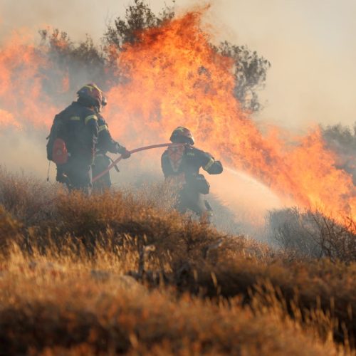 Ανησυχία από τις συνεχείς ενάρξεις πυρκαγιών στην Κεντρική Μακεδονία