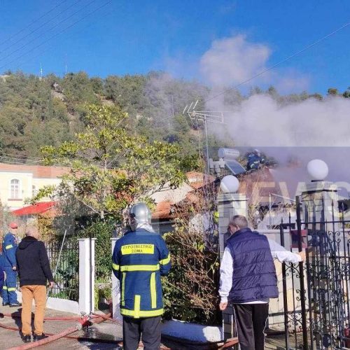 Τραγωδία στις Σέρρες: Απανθρακώθηκαν ζώα σε πυρκαγιά – Στις φλόγες τυλίχθηκε στάνη στη Βισαλτία