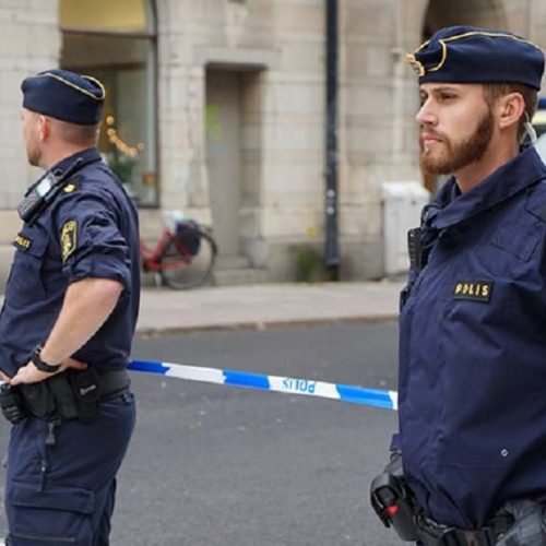 Σουηδία: Η αστυνομία «σκότωσε» άλκη που περιφερόταν στο κέντρο της Στοκχόλμης!