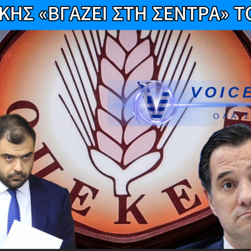 «ΑΔΕΙΑΣΜΑ» ΜΑΡΙΝΑΚΗ ΣΕ ΓΕΩΡΓΙΑΔΗ: ΑΠΟΣΤΑΣΕΙΣ ΓΙΑ ΤΗ ΔΙΚΟΓΡΑΦΙΑ