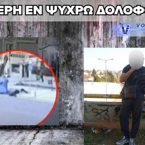 ΘΡΙΛΕΡ ΜΕ ΤΗ ΔΟΛΟΦΟΝΙΑ 20ΧΡΟΝΟΥ ΣΤΗΝ ΚΑΛΑΜΑΡΙΑ – ΔΕΙΤΕ ΤΟ ΒΙΝΤΕΟ