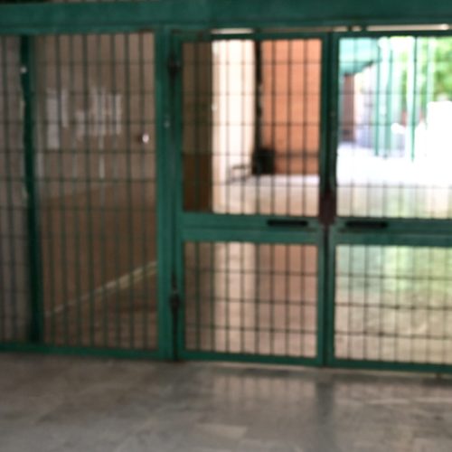Καταγγελία για λεκτική κακοποίηση μαθητών σε λύκειο της Αγίας Παρασκευής: Μαθητές κλαίνε στην τάξη