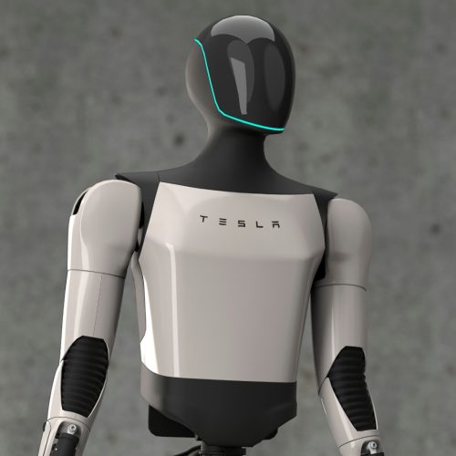 Tesla Humanoid Robot Optimus