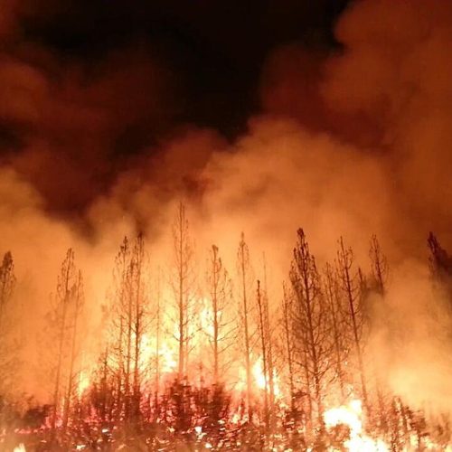 The Rim Fire in the Stanislaus National Forest near in California began on Aug. 17, 2013 and is under investigation. The fire has consumed approximately 149, 780 acres and is 15% contained. U.S. Forest Service photo.