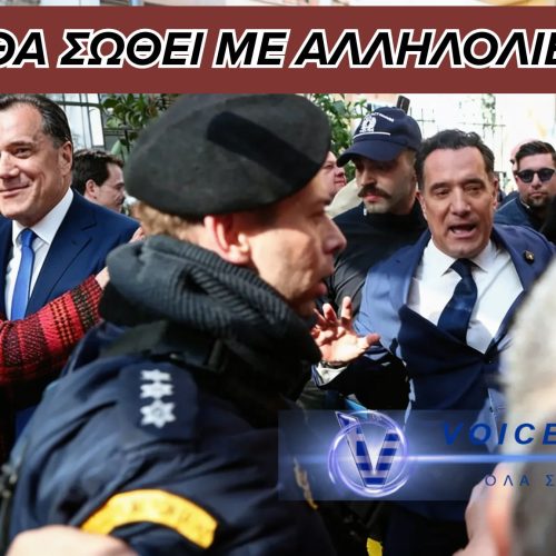 ΑΔΩΝΙΣ ΚΑΙ ΠΑΓΩΝΗ ΒΡΗΚΑΝ ΚΑΤΑΦΥΓΙΟ ΣΤΙς ΦΙΛΟΦΡΟΝΗΣΕΙΣ ( ΒΙΝΤΕΟ)