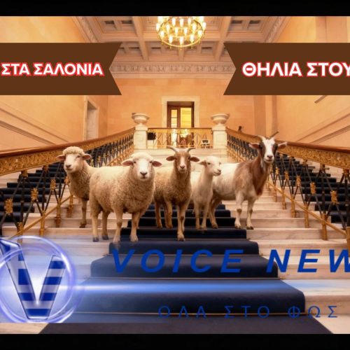 (ΒΙΝΤΕΟ) “ΣΚΙΖΕΙ” Η ΠΟΛΙΤΙΚΗ ΣΤΗΝ ΚΤΗΝΟΤΡΟΦΙΑ-ΣΥΛΛΗΨΗ ΚΤΗΝΟΤΡΟΦΩΝ ΓΙΑ ΕΛΕΥΘΕΡΗ ΒΟΣΚΗΣΗ