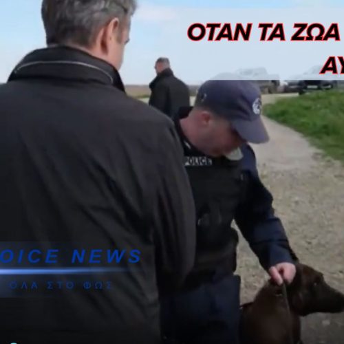 ΤΟ ΕΝΣΤΙΚΤΟ «ΒΛΕΠΕΙ» ΠΙΟ ΚΑΘΑΡΑ ΑΠΟ ΤΗΝ ΕΠΙΚΟΙΝΩΝΙΑ ( ΒΙΝΤΕΟ )