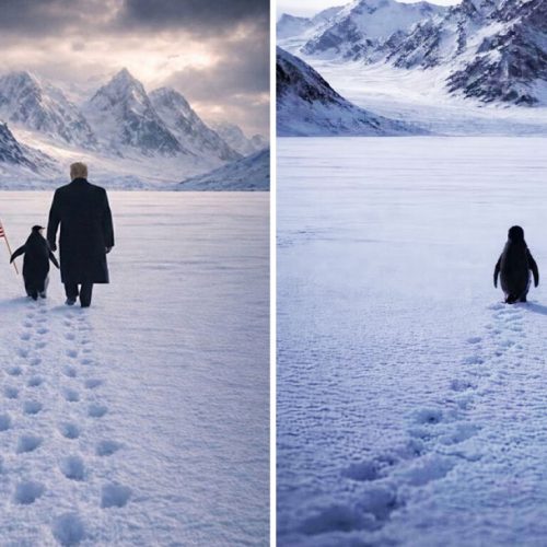 Nihilist Penguin: Ο πιγκουίνος που έβαλε τον Τραμπ… σε viral trend