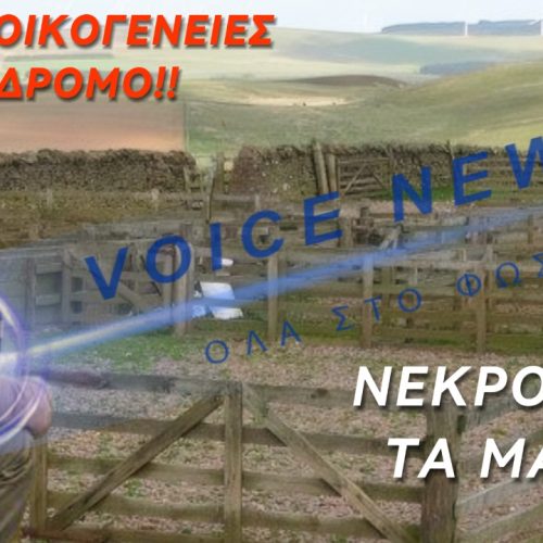 ΣΟΚ ΓΙΑ ΚΤΗΝΟΤΡΟΦΟ: ΜΠΑΙΝΕΙ ΣΤΟ ΜΑΝΤΡΙ ΚΑΙ ΑΝΤΙΚΡΙΖΕΙ ΟΛΑ ΤΑ ΖΩΑ ΘΑΝΑΤΩΜΕΝΑ ΛΟΓΩ.. ΕΥΛΟΓΙΑΣ! [ΒΙΝΤΕΟ]