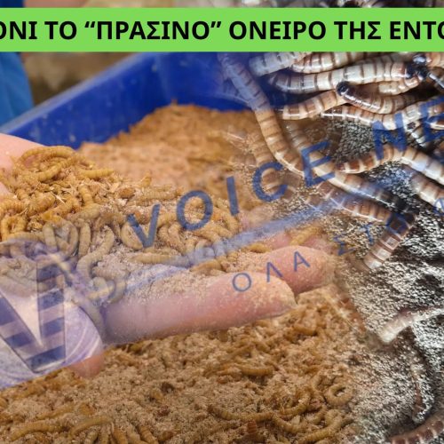 ΤΟ 2026 ΞΕΚΙΝΑ ΑΙΣΙΟΔΟΞΑ: ΧΡΕΟΚΟΠΗΣΕ Η ΜΕΓΑΛΥΤΕΡΗ ΦΑΡΜΑ ΕΝΤΟΜΩΝ ΣΤΗΝ ΕΥΡΩΠΗ ΠΟΥ ΠΡΟΟΡΙΖΑΝ  ΓΙΑ ΤΑ ΠΙΑΤΑ ΜΑΣ!